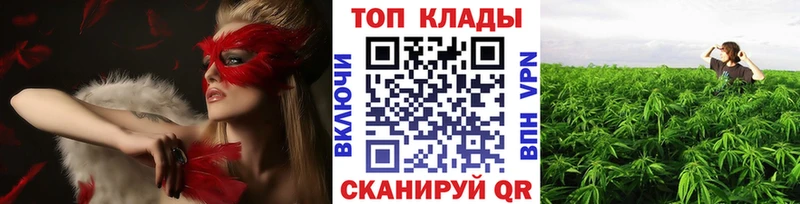 Купить закладку Зерноград Alpha PVP Мефедрон Канабис Кокаин