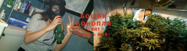 крисы Аркадак