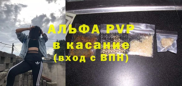крисы Аркадак