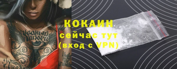 дживик Осинники