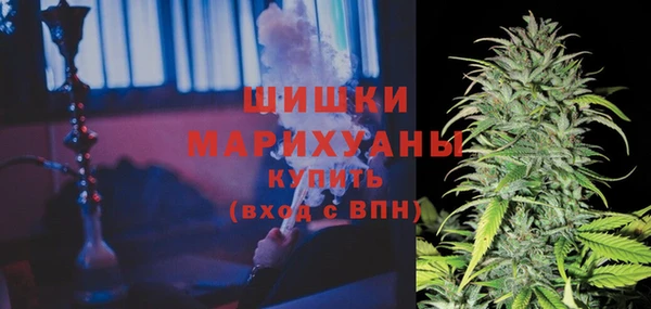 крисы Аркадак